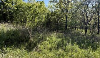 Highway N, Ash Grove, MO 65604