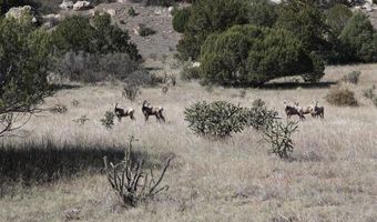 000 County Road 40.2 Poitry Canyon Ranch, Branson, CO 81027