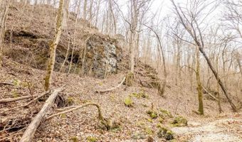 County Road 19-A, Alton, MO 65606