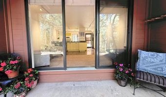 1214 Vine St 1214, Aspen, CO 81611