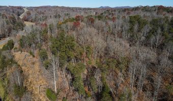 Virginia Ave lot 75, Bassett, VA 24055