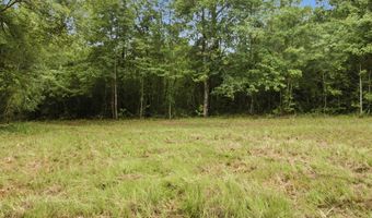 115355 115353 CR 2501, Alto, TX 75925