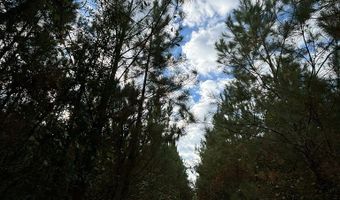 644 Ash-Harrel Loop, Abbeville, GA 31001