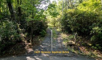 1621 Granny Squirrel Dr, Andrews, NC 28901
