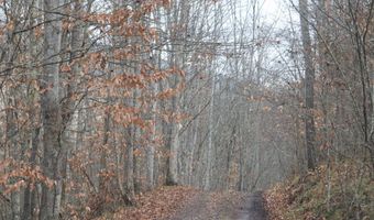 Brair Fork Road, Bean Station, TN 37708