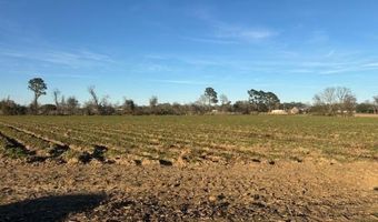 S Hospital Drive, Abbeville, LA 70510