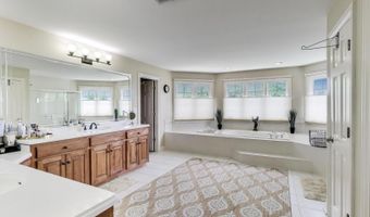 913 S DRYDEN Pl, Arlington Heights, IL 60005