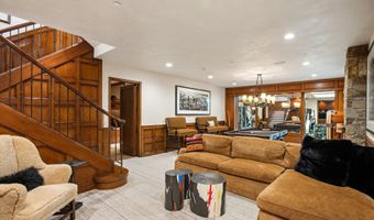 303 W Hopkins Ave, Aspen, CO 81611