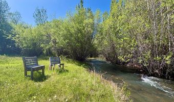 9885 Challis Creek Rd, Challis, ID 83226