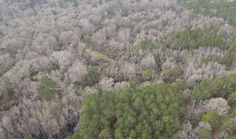 U.S. Highway 51, Bogue Chitto, MS 39629