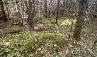 Thorn Hill Road lot 406/22, Bethlehem, NH 03574