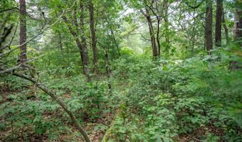 5 Ac 19th Ct, Arkdale, WI 54613