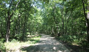 3751 CR 1313 County Road 1313 Crane Lake Rd, Arcadia, MO 63621