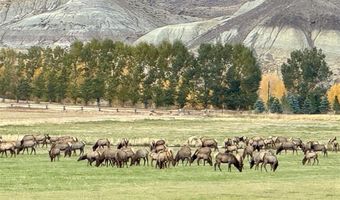 TBD Hawk Dr 217, Cody, WY 82414