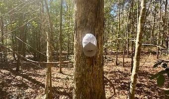 0 Tervin Mill Rd, Andalusia, AL 36421