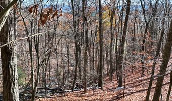 Nebo Mountain Rd. lot Multiple, Atkins, VA 24311