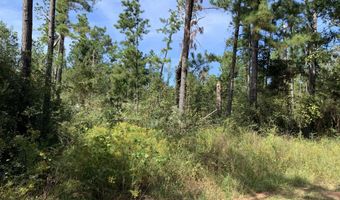 Drury Lane, Alford, FL 32420