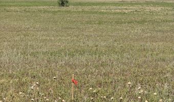 TBD Lot 24 County Road 497, Anson, TX 79501