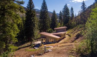 768 Kings Lake Rd, Basalt, CO 81621