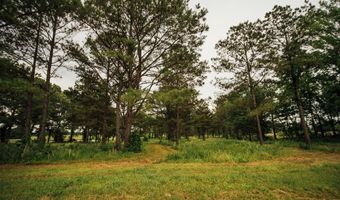 447 County Road 215, Abbeville, MS 38601
