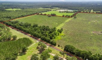7009 129 Hwy, Bell, FL 32619