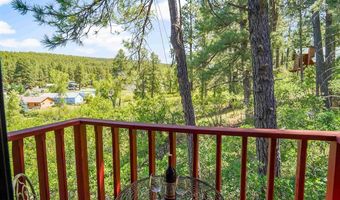 413 Alpine Forest Dr, Bayfield, CO 81122