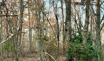 0 Pebble Creek Ln, Alto, GA 30510