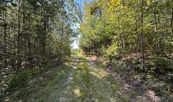 13 44 Ac Chestnut Ridge Rd, Allardt, TN 38504