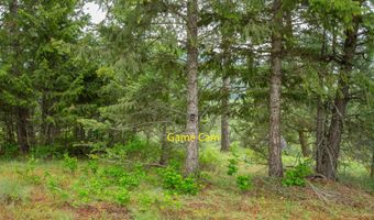 2420 CEDONIA ADDY Rd, Addy, WA 99101