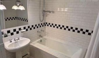 229 W Hallam St, Aspen, CO 81611