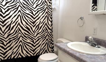 790 Avenue L, Ely, NV 89301