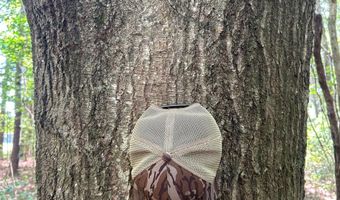 Pleasant Hill Road, Ashland, MS 38603