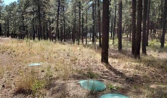 282 Pine Ln, Bayfield, CO 81122