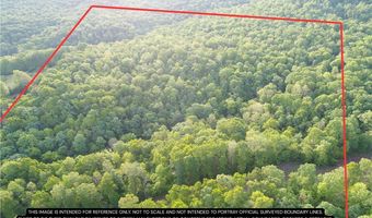 TBD CR 935, Alpena, AR 72611