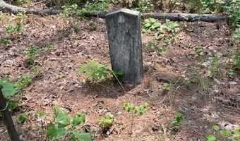 CR 1401, Booneville, MS 38829