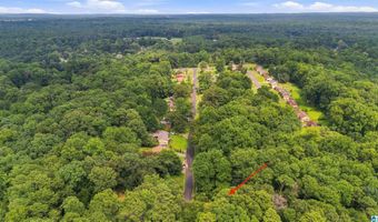 5042 LAPINE Dr, Adamsville, AL 35005