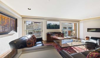 555 E Durant Ave 4-E, Aspen, CO 81611