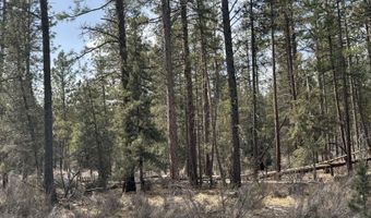Bufflehead Drive TL 10, Bonanza, OR 97623