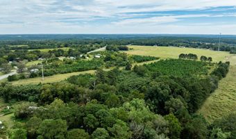 20 Ac State Hwy 95 Columbia Rd, Abbeville, AL 36310