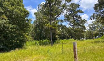 0 CR-215, Ariton, AL 36311
