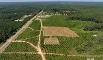 0 Horseneck Rd, Bay Minette, AL 36507