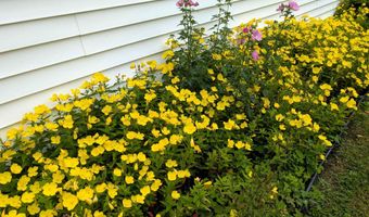 11 E. Balsam Dr, Barre, VT 05641