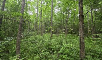 1542 Wellman Dr, Brookhaven, MS 39601