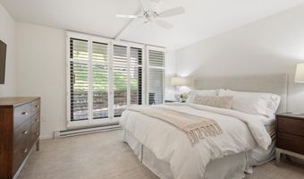 800 E Hopkins Ave A-3, Aspen, CO 81611