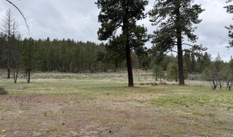 32311 Bobwhite Dr, Bonanza, OR 97623