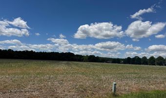 953 WHITE MARSH BRANCH Rd, Harrington, DE 19952