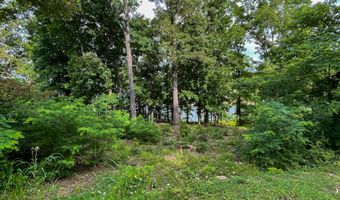 1147 Lakefront Pl, Baneberry, TN 37890