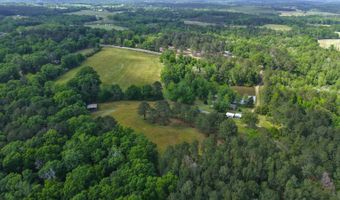 23826 Opine Rd, Andalusia, AL 36421
