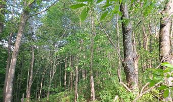Hudson Mill Road, Albright, WV 26519