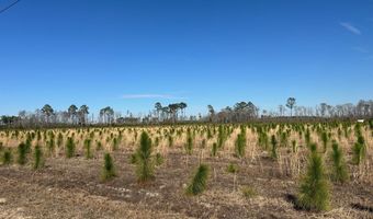 2000-4 Sellers Rd NW, Baxley, GA 31513